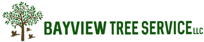 Bayview Tree Service Logo