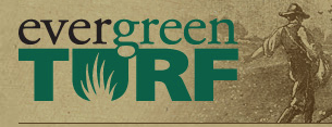 Evergreen Turf Logo