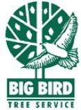 Big Bird Tree Service, Inc Logo