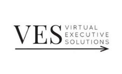 Virtual Executive Solutions Inc Logo