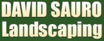 David Sauro Landscaping, Inc. Logo