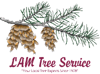 LAM Tree Service, Inc. Logo