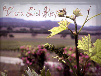 Vista Del Rey Vineyards Logo