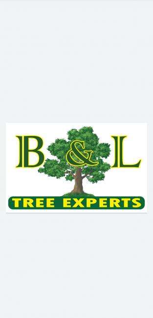 B & L Tree Expert, LLC Logo