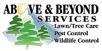 Above and Beyond Services LLC Logo