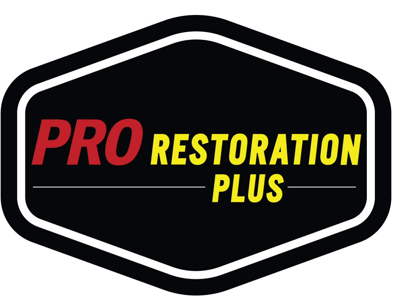 Pro Restoration Plus Logo