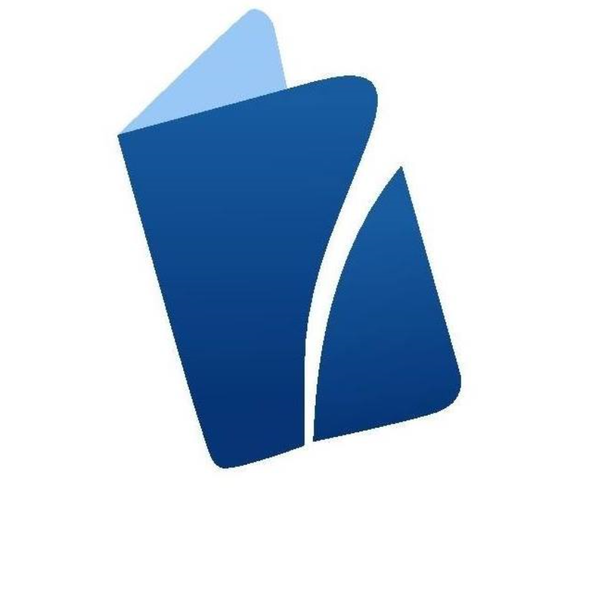 Visa Network                                                                                         Logo