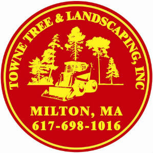 Towne Tree & Landscaping, Inc. Logo