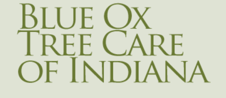 Blue Ox Tree Care of Indiana, LLC Logo