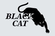 Black Cat Erectors Logo