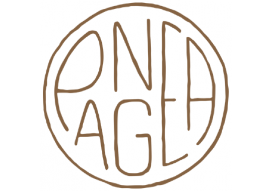 Pangea Kitchen Logo