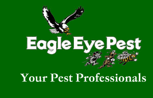 eagle eye pest control