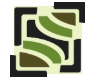 Rockscapes Landscaping Ltd Logo