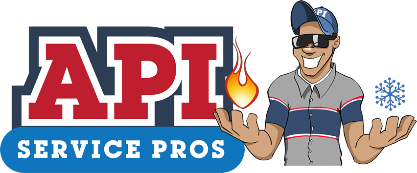 API Service Pro's Logo