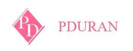 PDuran Properties LLC Logo