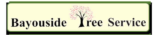 Bayouside Trees, LLC Logo