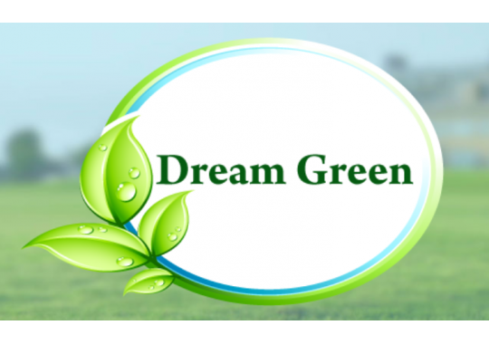 Dream Green Logo