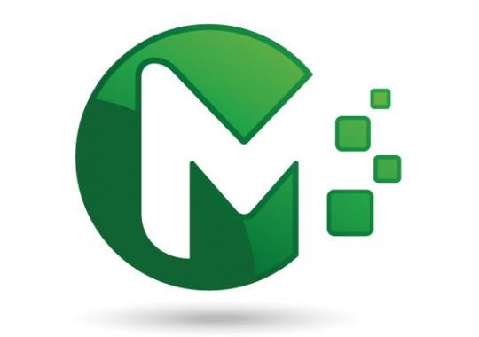 Maxima Services, LLC Logo