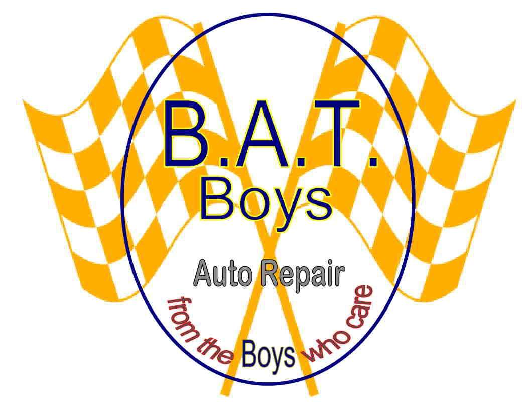 B.A.T. Boys LLC Logo