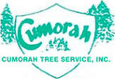 Cumorah Tree Service, Inc. Logo