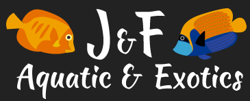 J & F Aquatic &  Exotic LLC Logo