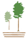 Crawley Timber Company Logo