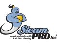 Steam Pro, Inc. Logo