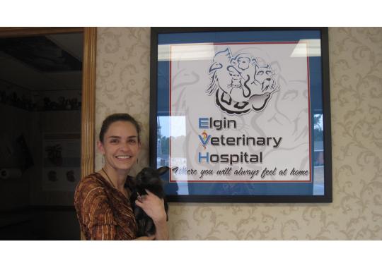 Elgin Veterinary Hospital Logo