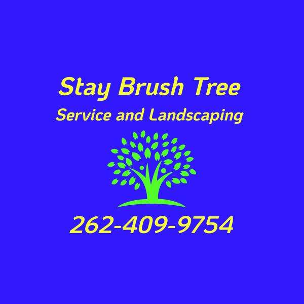 Stay Brush Tree Service And Landscaping LLC Logo