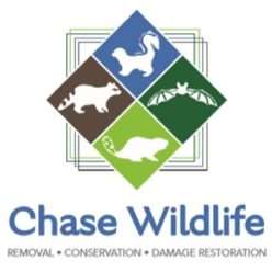 Chase Wildlife, LLC Logo