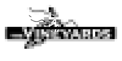 The Vineyards Logo