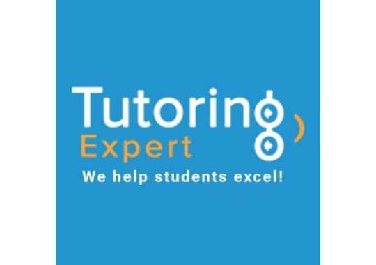 The Tutoring Expert Logo