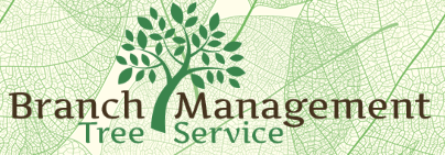 Branch Management Tree Service LLC Logo