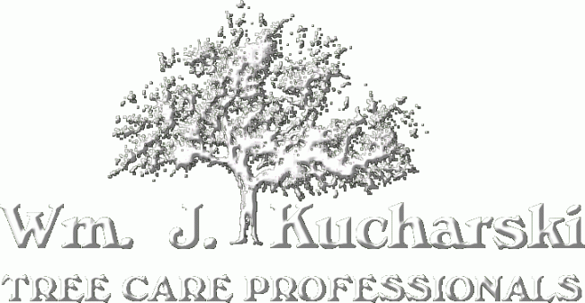 Wm J Kucharski Tree Care Professionals, LLC Logo