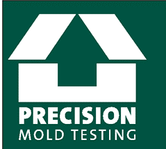 Precision Mold Testing Logo