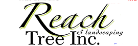 Reach Tree, Inc. Logo