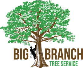 Big Branch Tree Service Inc Logo