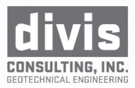 Divis Consulting, Inc. Logo