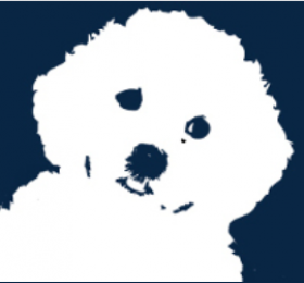 Caney Fork Bichon Logo