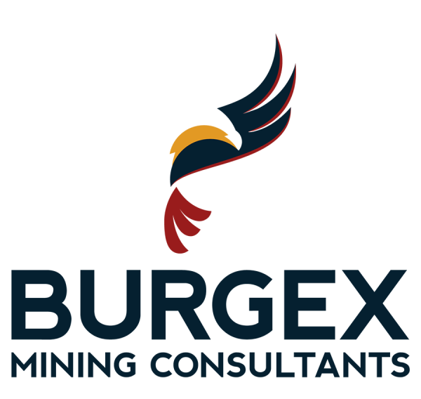 Burgex, Inc. Logo