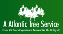 A Atlantic Tree Service Inc. Logo