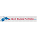 Blue Dragon Plumbing Logo