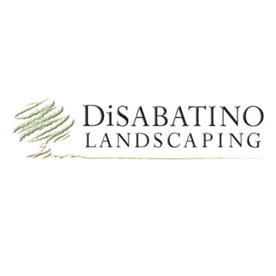 DiSabatino Landscaping & Tree Service Logo