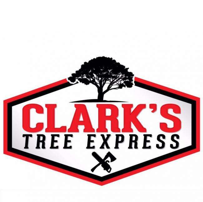 Clarks Tree Express Logo