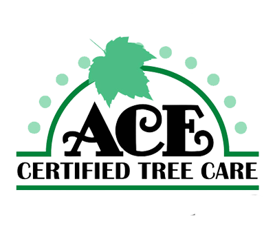 ACE Certified Tree Care Logo