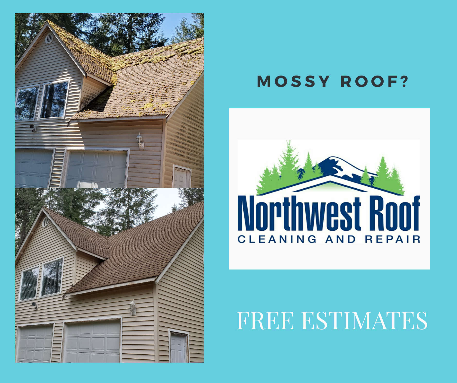 Northwest Roof Cleaning & Repair LLC Logo