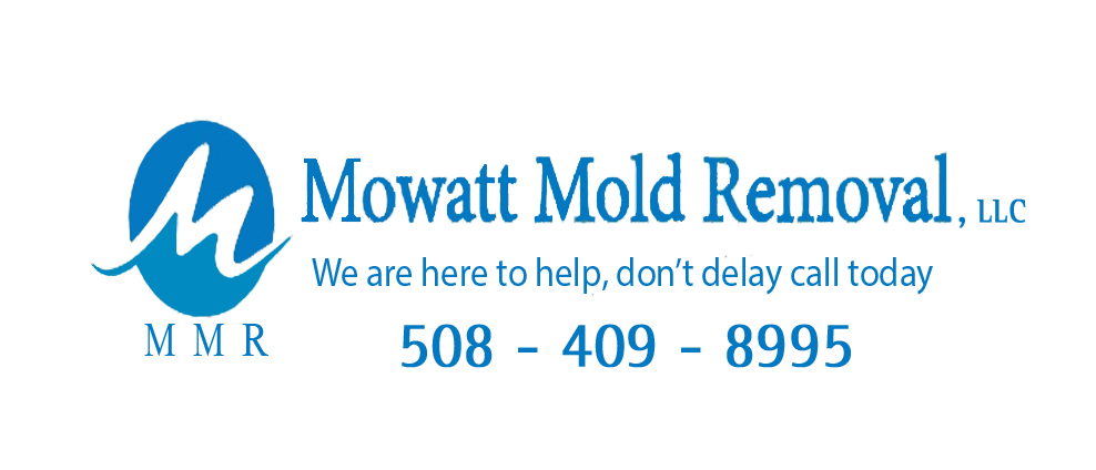 Mowatt Mold Removal Inc Logo