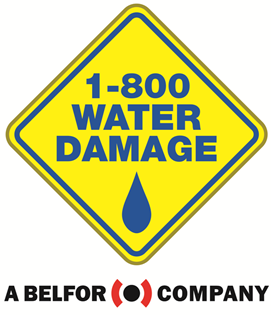 1-800 Water Damage of Fairfield & Westchester Logo