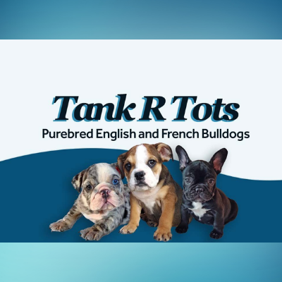 Tankrtots Purebred English and French Bulldogs Logo