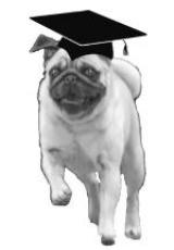 A-Plus Canine College Logo